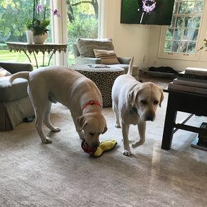 Meet your Posher, Kyle